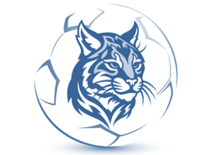 Lakeview soccer - final logo blue
